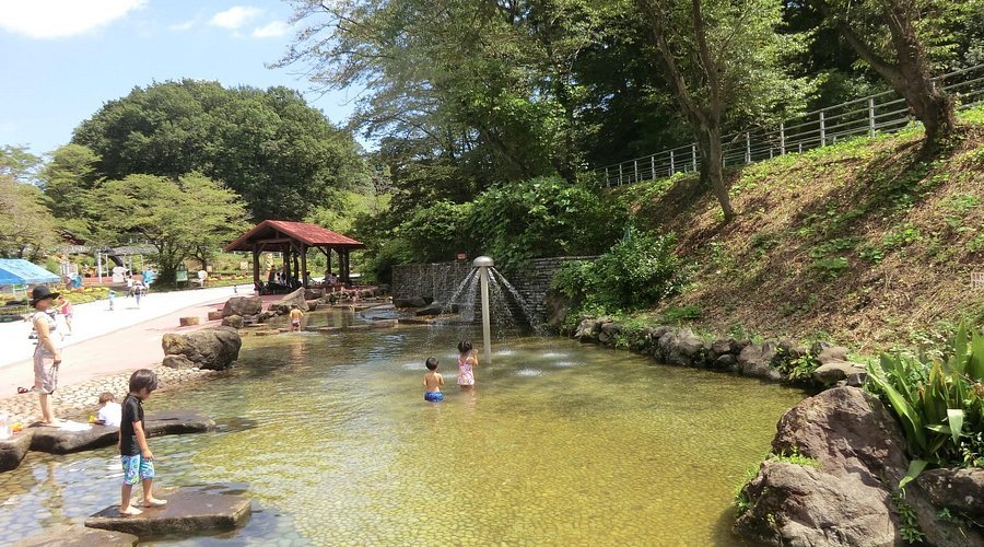 🌳 어린이의 나라(코도모노쿠니) 이미지 6